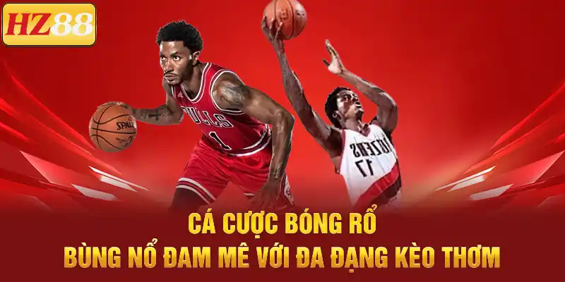 Cá Cược Bóng Rổ