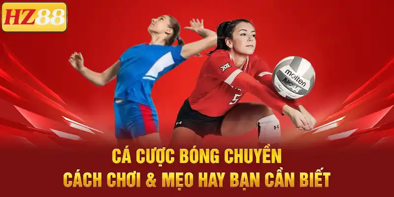 Cá Cược Bóng Chuyền