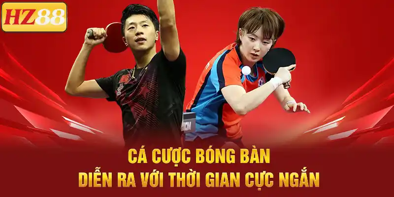 Cá Cược Bóng Bàn