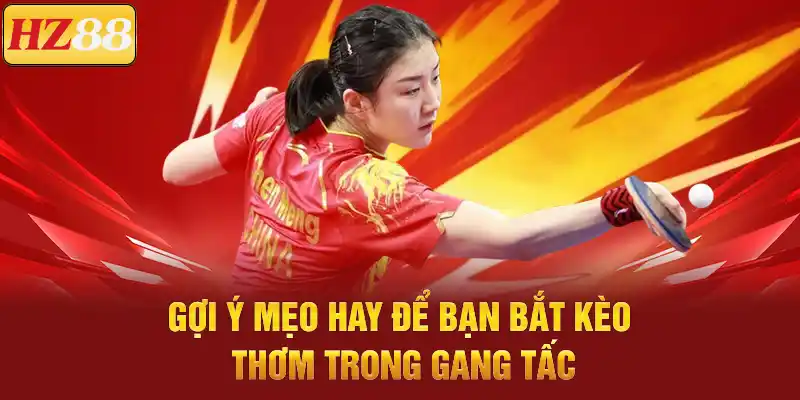 Cá Cược Bóng Bàn