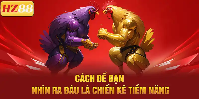 Đá Gà Cựa Sắt