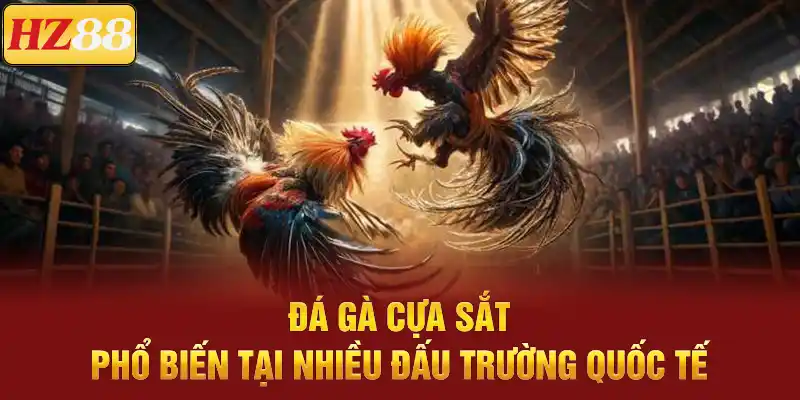 Đá gà cựa sắt